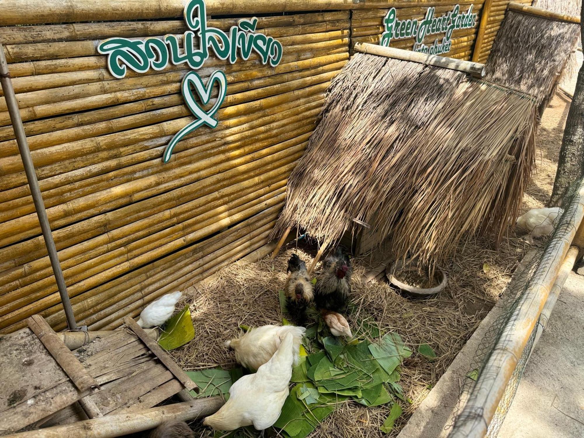 Greenheart Garden View Camp Phuket Strand Kata Exterior foto